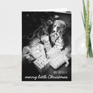 Festividades Rupert o cartão de Natal do Beagle