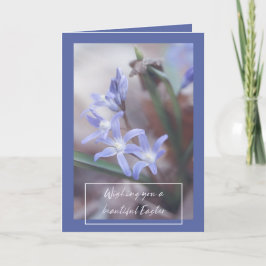 Festividades Saudações de Páscoa - Chionodoxa - Cartão