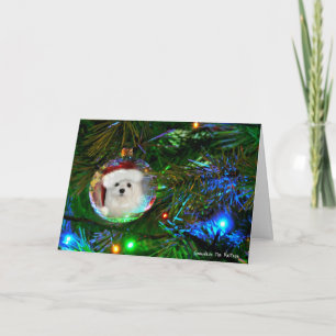 Festividades Snowdrop o Cartão de Natal Maltês