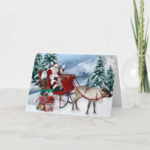 Festividades Snowdrop o Cartão de Natal Maltês