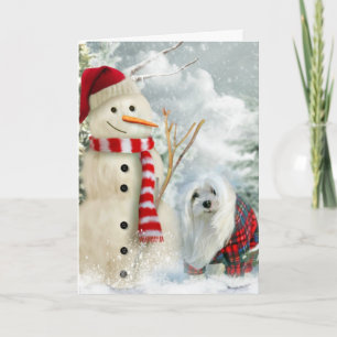 Festividades Snowdrop o Cartão de Natal Maltês