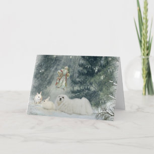 Festividades Snowdrop o Cartão de Natal Maltês