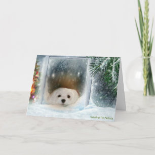Festividades Snowdrop o cartão de Natal maltês