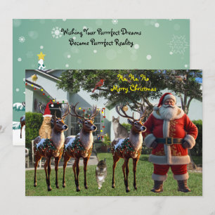 Festividades Sonho de Tito - Cartão de Natal de 2025