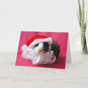 Festividades Squeakings da temporada! Cartão de Férias