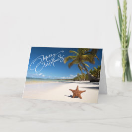 Festividades Sunny Beach com cartão de Natal Starfish