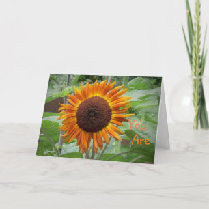 Festividades Sunshine, Meu Cartão De Saudação De Girassol