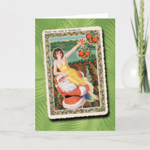 Festividades Terreno do Cartão de Natal à Luz do Sol