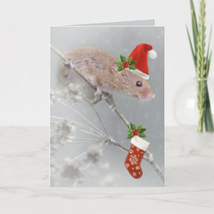 Festividades Todos Definidos para o Cartão de Natal de Papais n