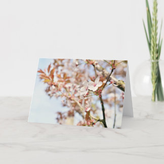 Festividades Um cartão de saudação de vazio de 7 x 5''