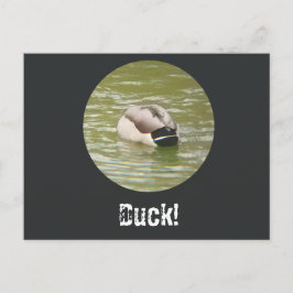 Festividades Um cartão postal de um pato ducking