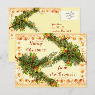 Festividades Um Cartão Postal Feliz de Natal