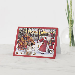 Festividades Ursos australianos do papai noel do cartão de