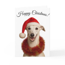 Whippet branco em cartão de Natal com chapéu de Pa