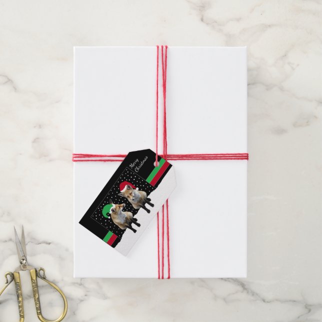 Festivo Raposa Cubs Gpresente Etiquetas (Com cordão)