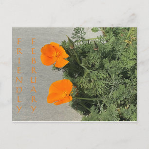 Fevereiro amigável! Cartão Postal