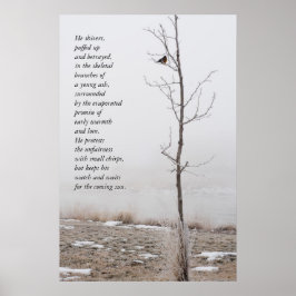 Fevereiro Robin Nature Poster com Poem