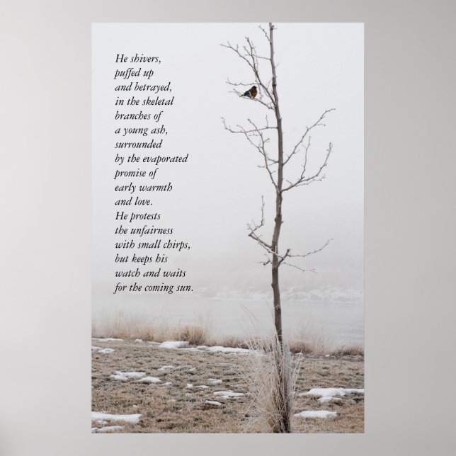 Fevereiro Robin Nature Poster com Poem (Frente)