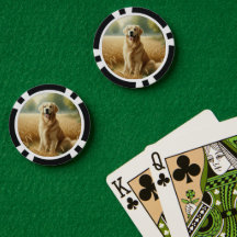 Retriever Dourado