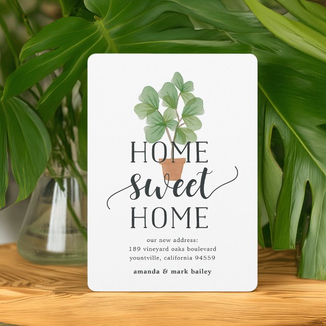 Fiddle Leaf Fig | Anúncio de mudança (Criador carregado)