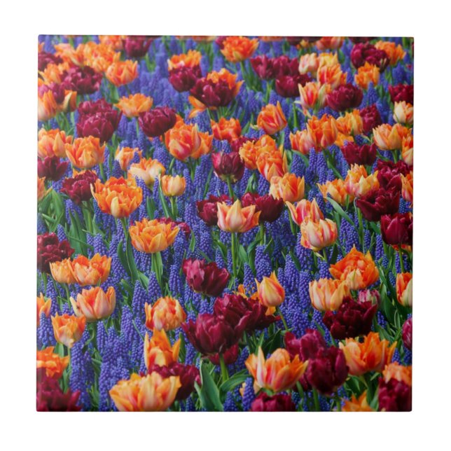 Field of Blue, Orange and Red Flowers (Frente)