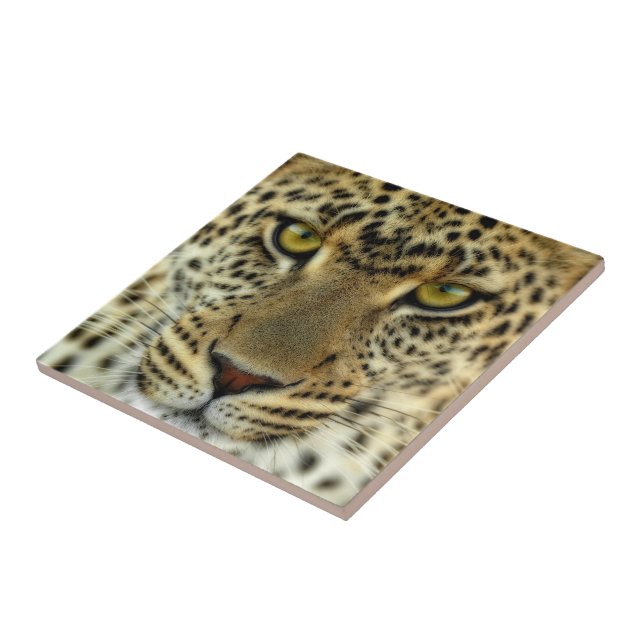 Fierce Leopard (Lateral)