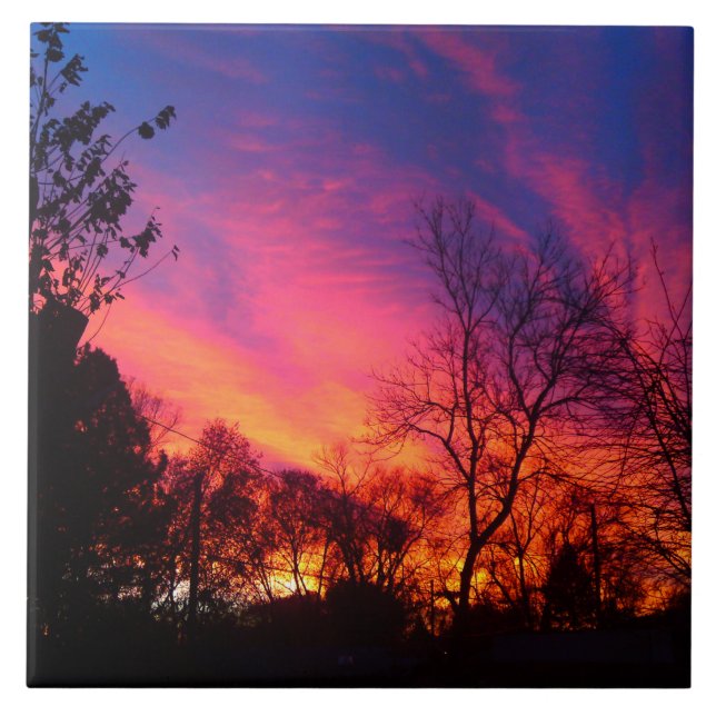 Fiery Sunset através das Árvores (Frente)