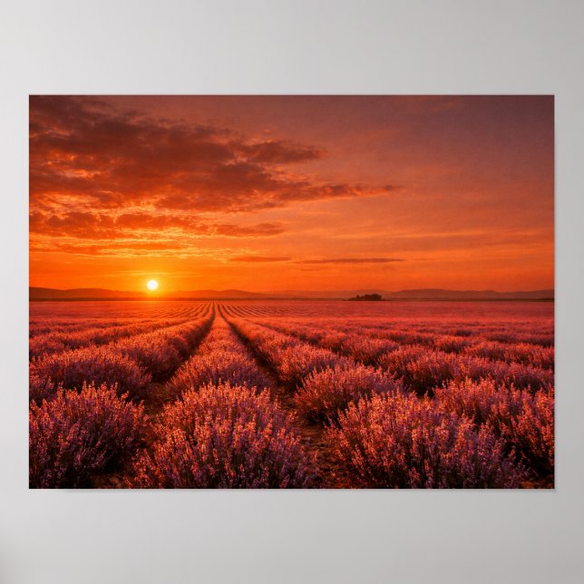 Fiery Sunset Lavender Fields Poster - Warm Orange (Frente)