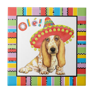 Fiesta Basset