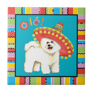 Fiesta Bichon