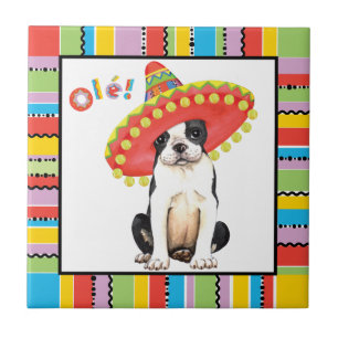 Fiesta Boston Terrier