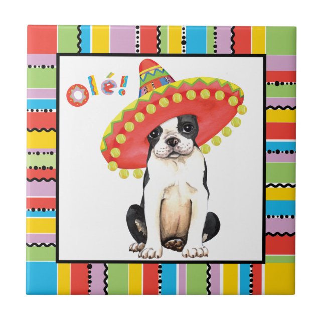 Fiesta Boston Terrier (Frente)