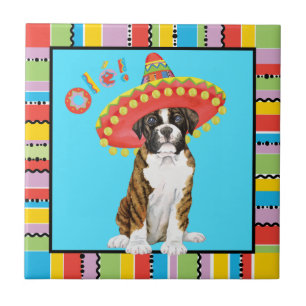 Fiesta Boxer