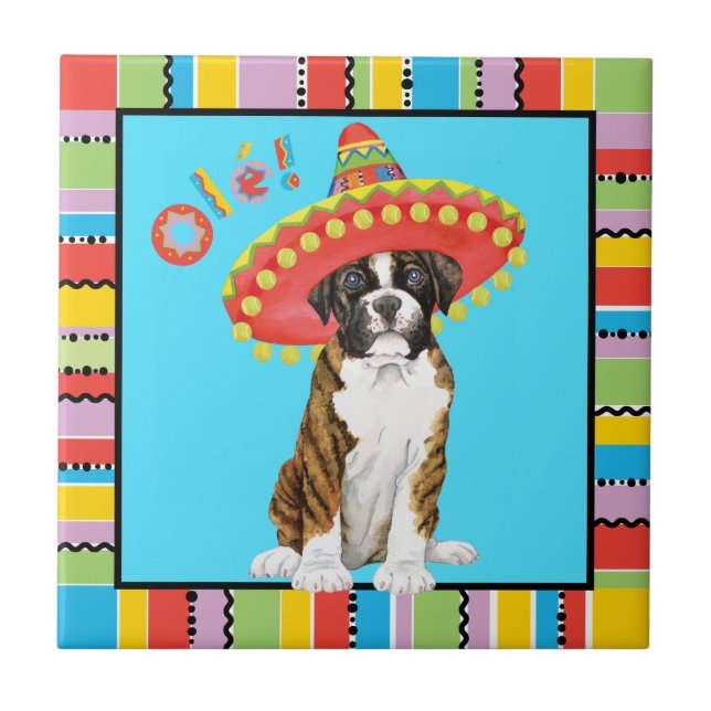 Fiesta Boxer (Frente)