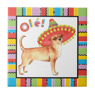 Fiesta Chihuahua