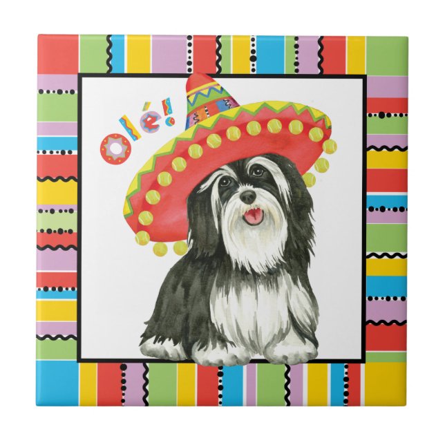 Fiesta Havanese (Frente)