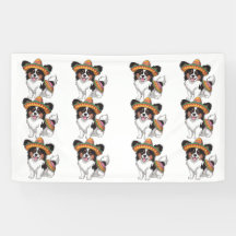 Fiesta Papillon Dog Vestindo Sombrero e Sarape