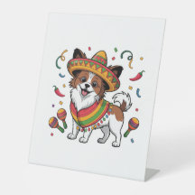 Fiesta Papillon Dog Vestindo Sombrero e Sarape
