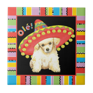 Fiesta Toy Poodle