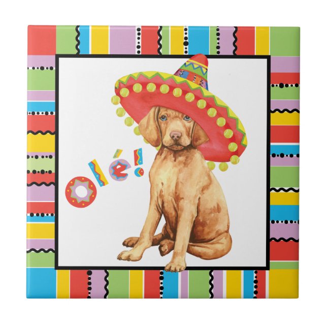 Fiesta Vizsla Azulejo (Frente)