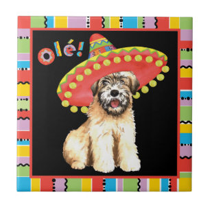 Fiesta Wheaten