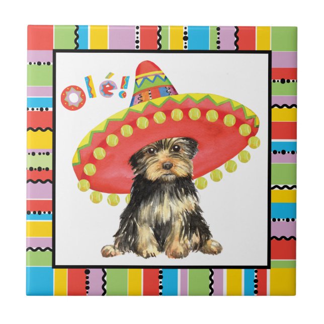 Fiesta Yorkie (Frente)