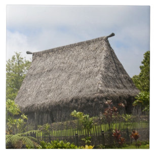 Fiji, Ilha Viti Levu. Centro Cultural Polinésio