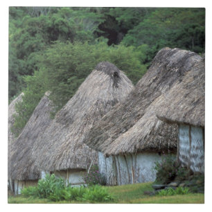 Fiji, Viti, Casas de cabanas tradicionais.