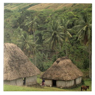 Fiji, Viti Levu, Navala, casas tradicionais Bure