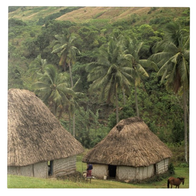 Fiji, Viti Levu, Navala, casas tradicionais Bure (Frente)