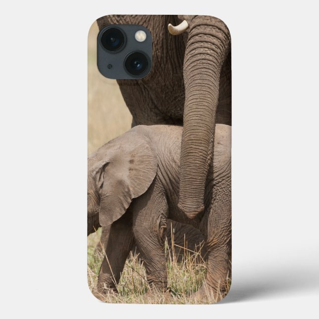 Filhote Africano de Elefante com Mãe (Verso)