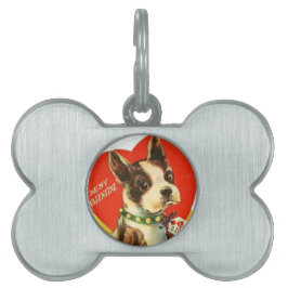 Filhote de cachorro bonito de Boston Terrier dos