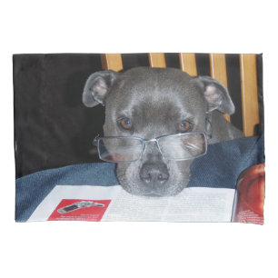 Filhote de cachorro da leitura