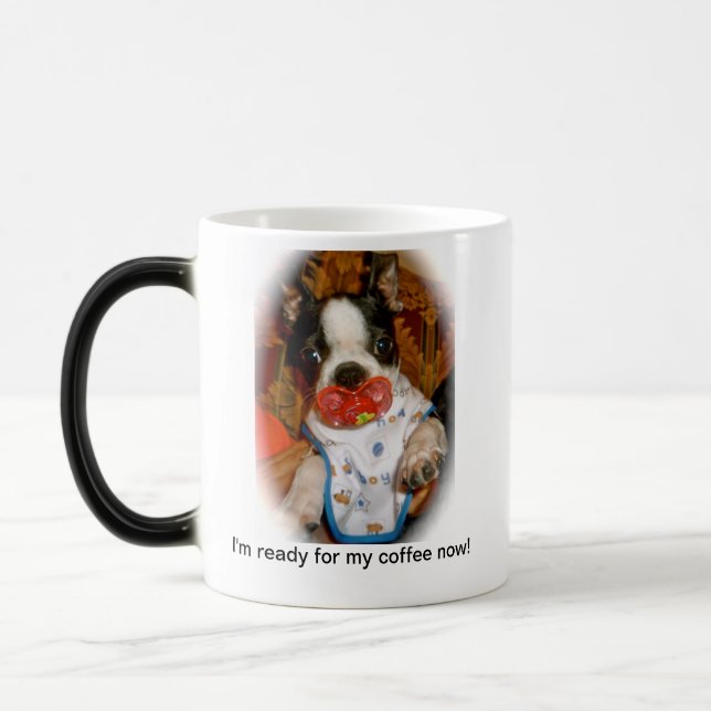 Filhote de cachorro de Boston com caneca de Binky (Esquerda)